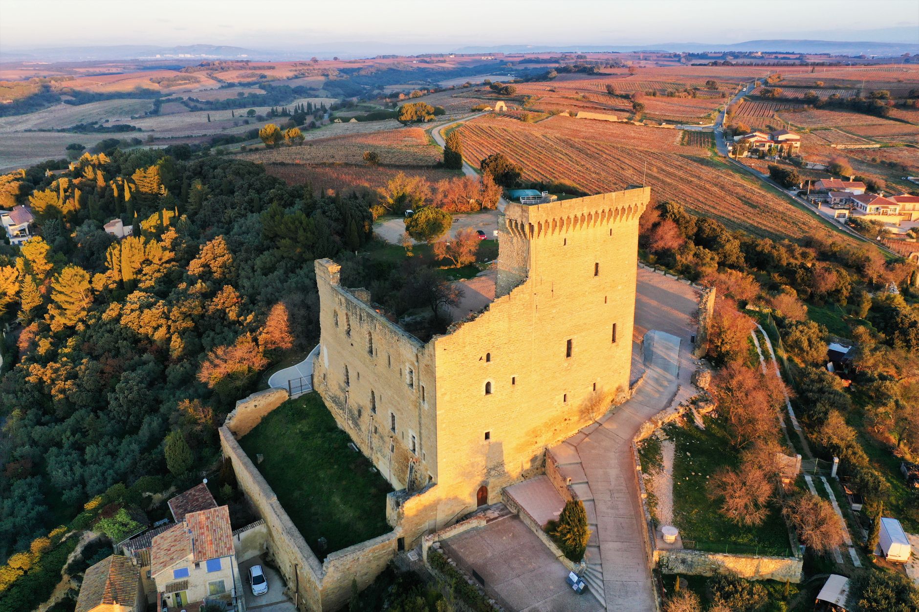 Château français et vignobles