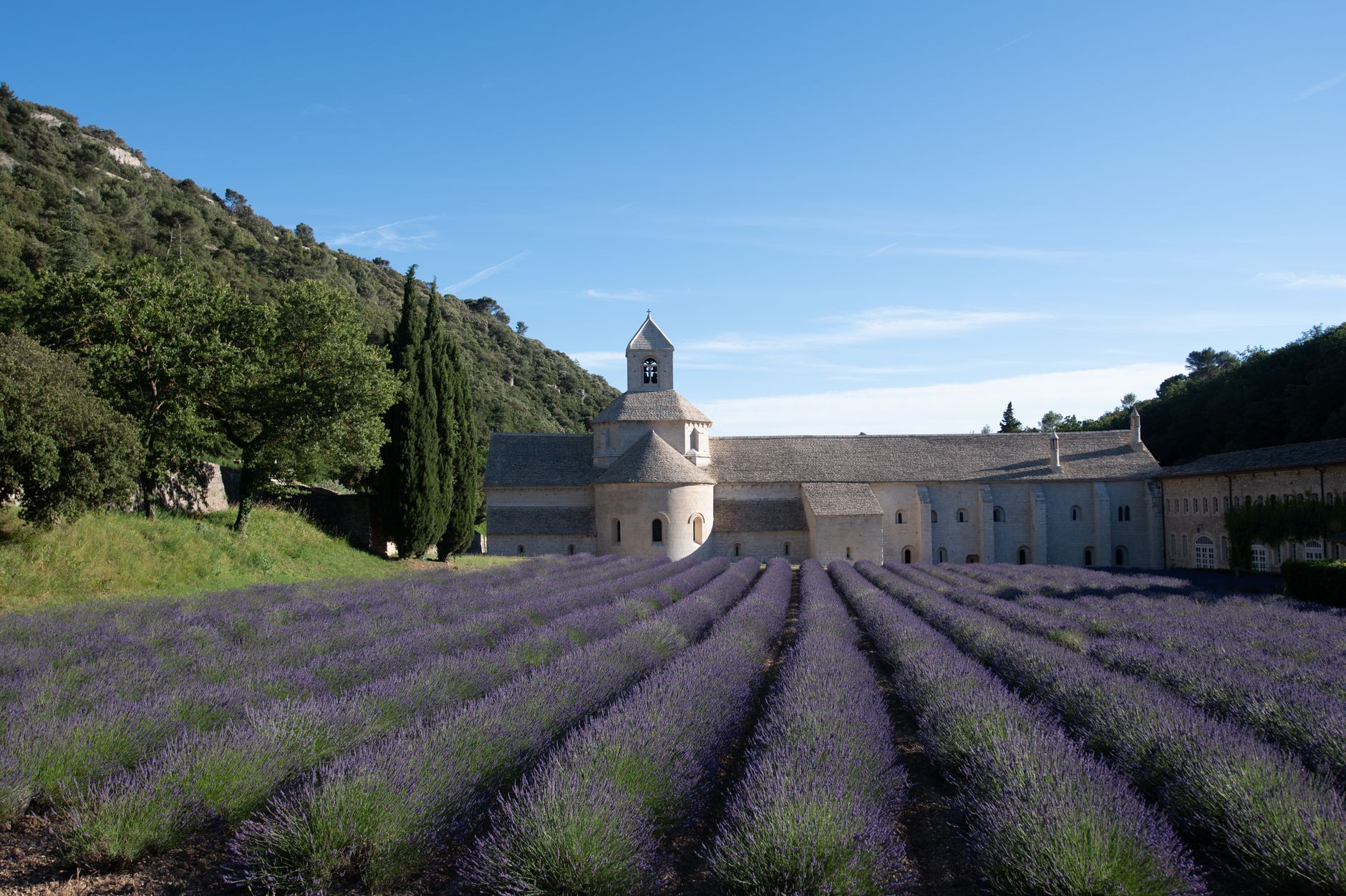 Vignobles de Provence